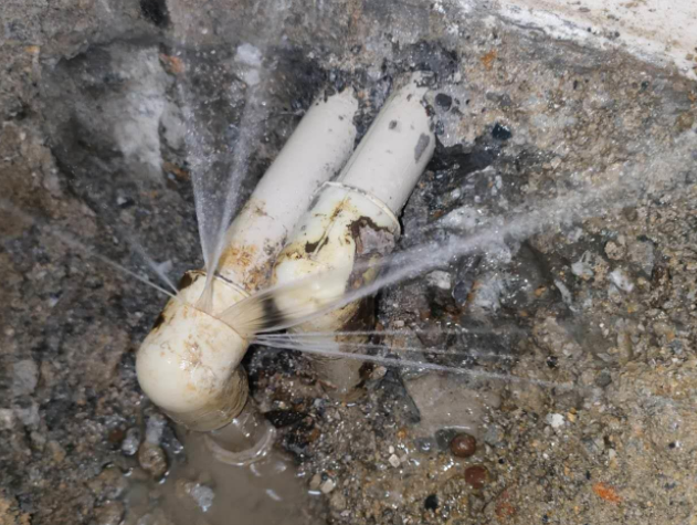 虹口区浙江防水